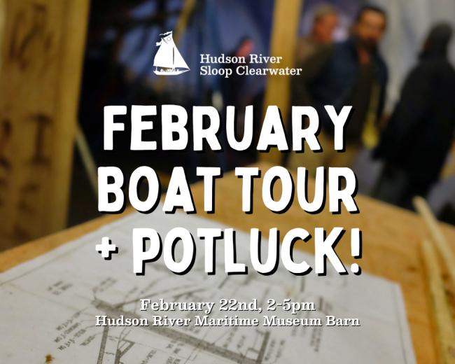 Boat tour